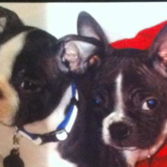 Meet your Posher, Clicquot - Picture 1 of 1